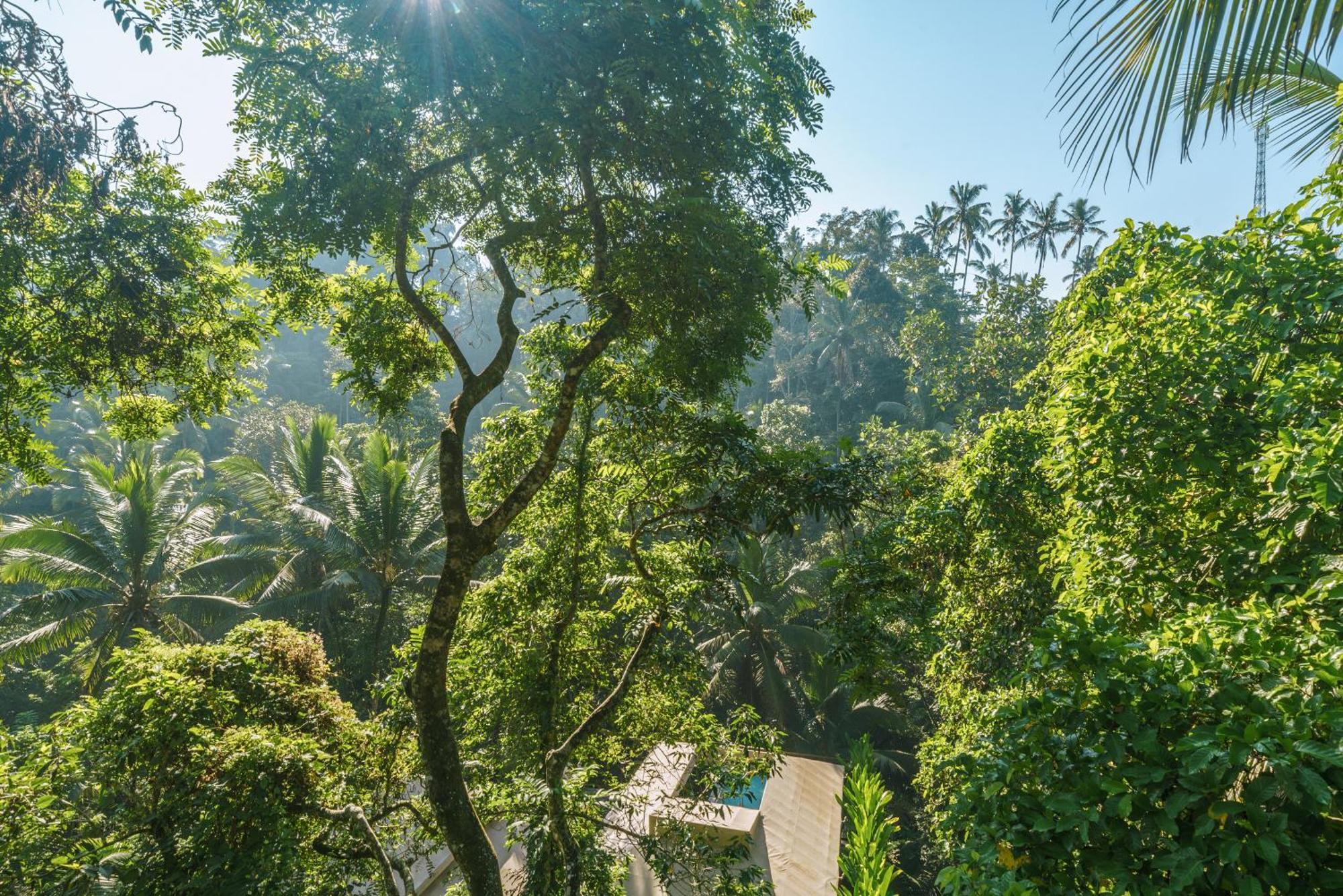 K Club Ubud Kamer foto